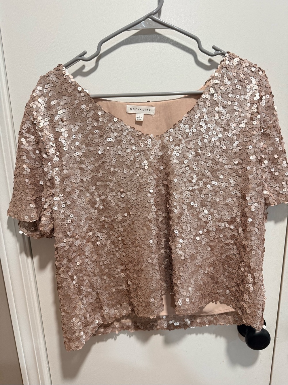 Socialite Blush Sequin Short Sleeve V-Neck Crop Top